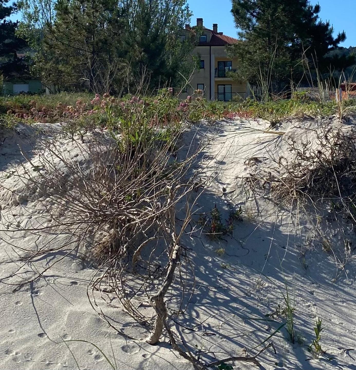 Apto Las Dunas De Langosteira En Finisterra Exterior foto